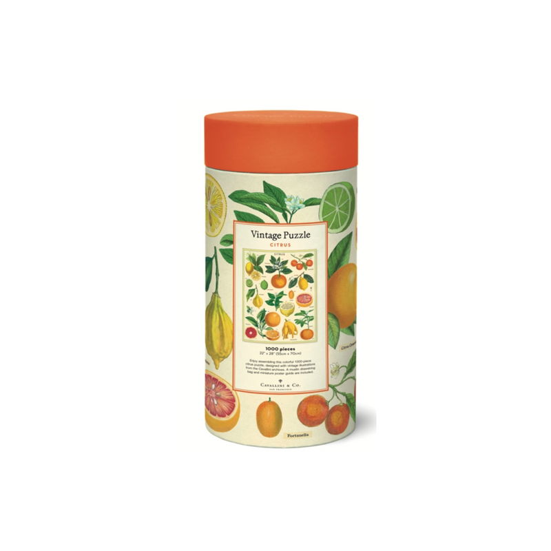 Cavallini & Co. Citrus