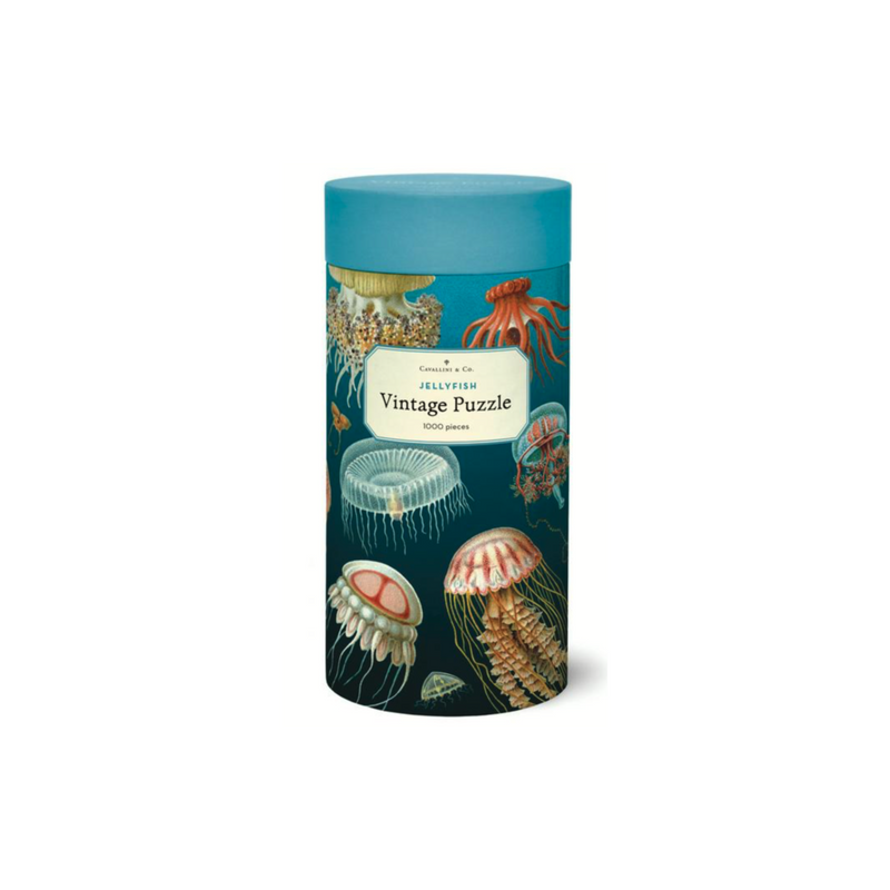 Cavallini & Co. JellyFish