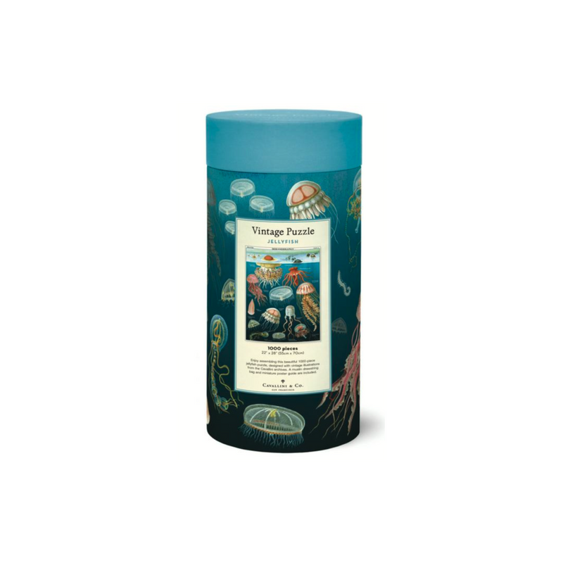 Cavallini & Co. JellyFish