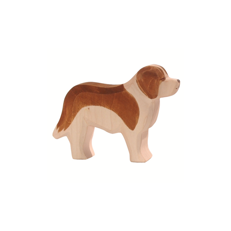 Ostheimer Dog St. Bernard Dog