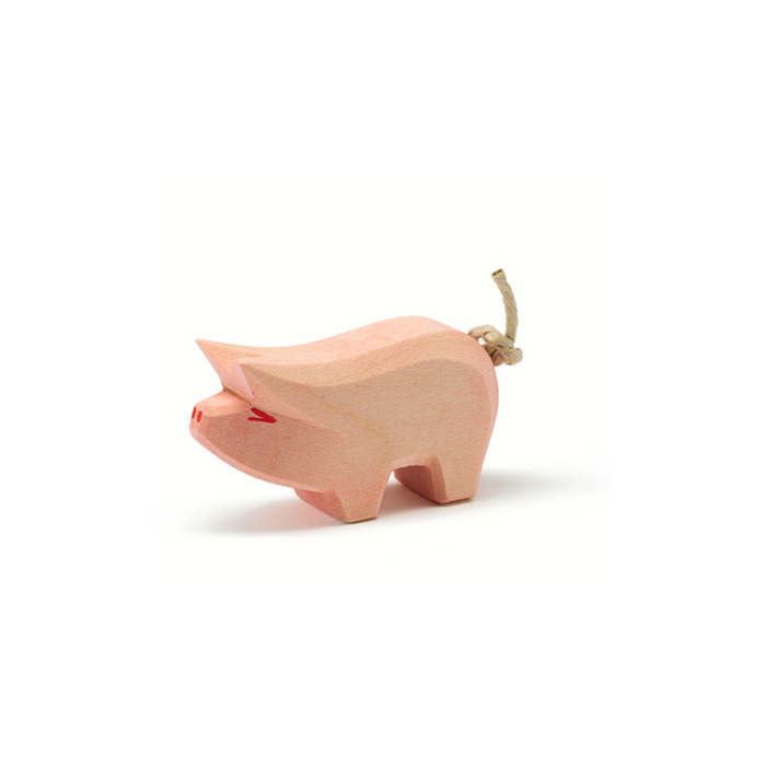 Ostheimer Pig - Piglet