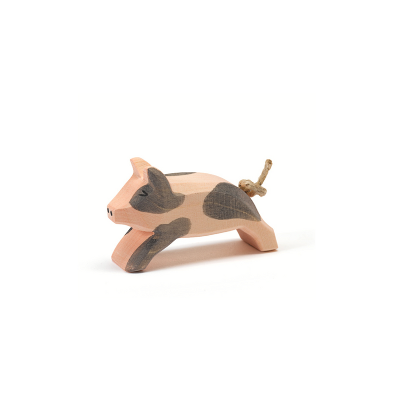 Ostheimer Spotted Piglet Running