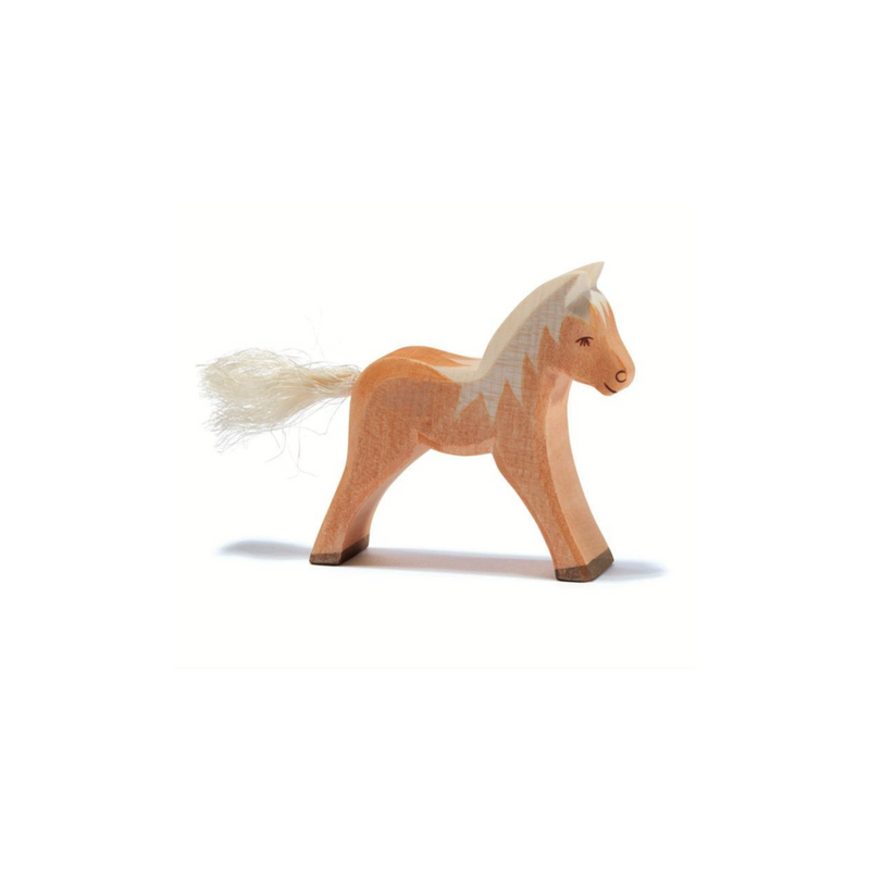 Ostheimer Haflinger Colt