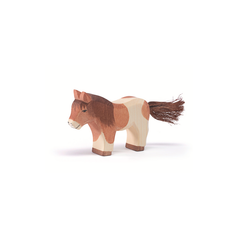 Ostheimer Shetland Pony Standing