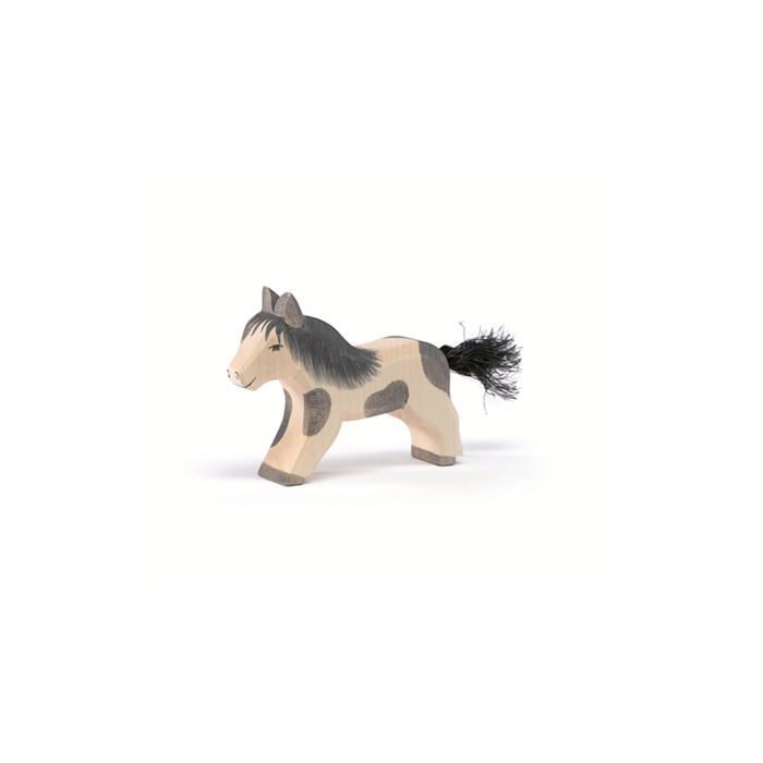 Ostheimer Shetland Pony Running