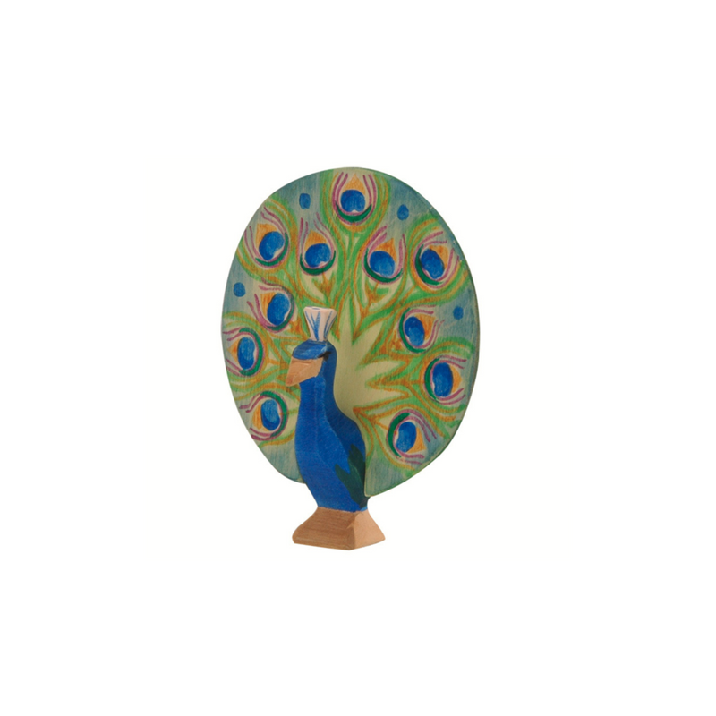 Ostheimer Peacock Open