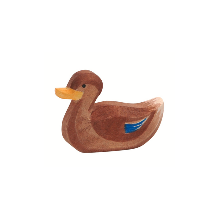 Ostheimer Duck Swimming