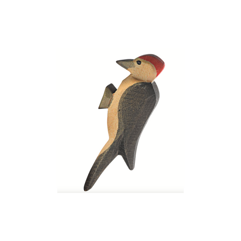 Ostheimer Woodpecker