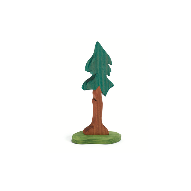 Ostheimer Spruce Tall with Trunk and Support