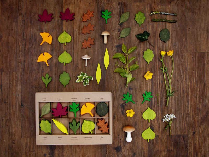 Moon Picnic Woodland Leaves