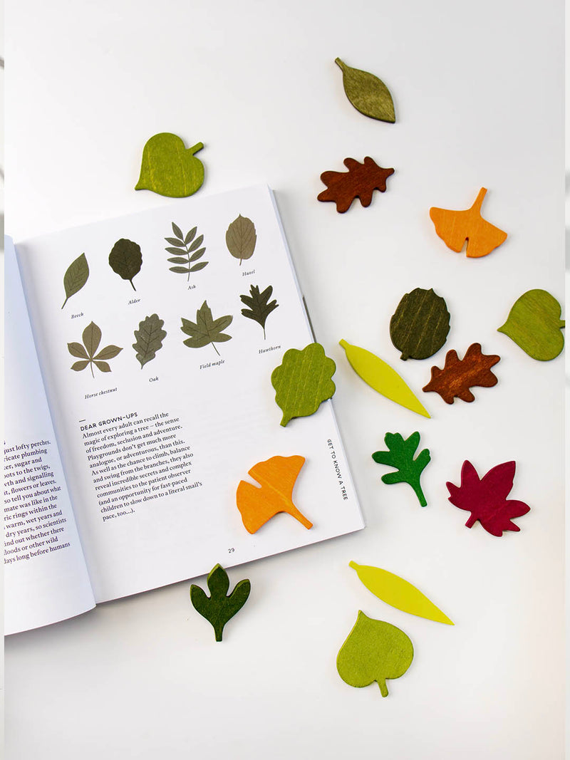 Moon Picnic Woodland Leaves
